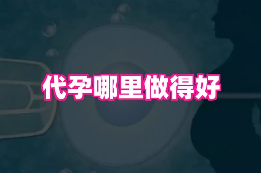 长春助孕网 3